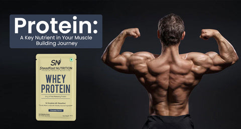 Protein: A Key Nutrient in Your Muscle Building Journey
