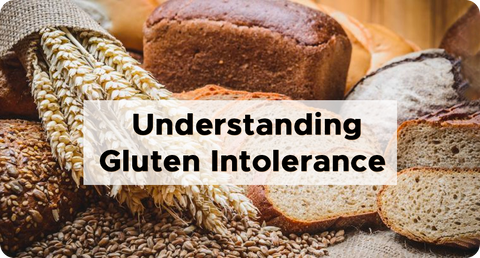 UNDERSTANDING GLUTEN INTOLERANCE