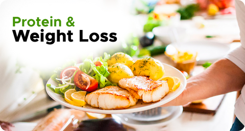 PROTEIN & WEIGHT LOSS