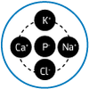Icon 5
