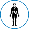 Icon 2