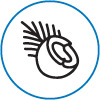 Icon 5