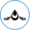 Icon 3