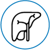 Icon 1