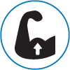 Icon 2