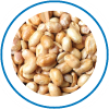 Icon 6