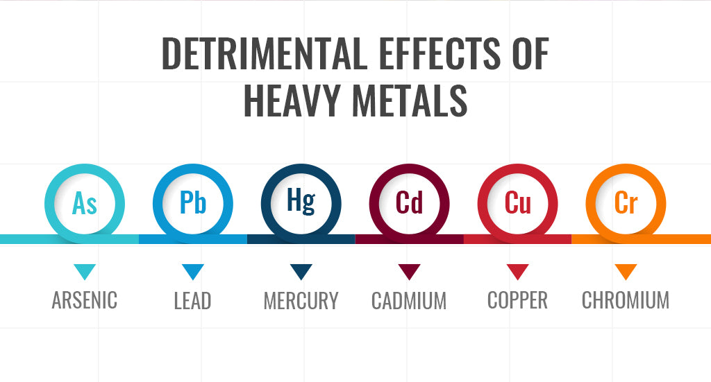 Detrimental Effects of Heavy Metals