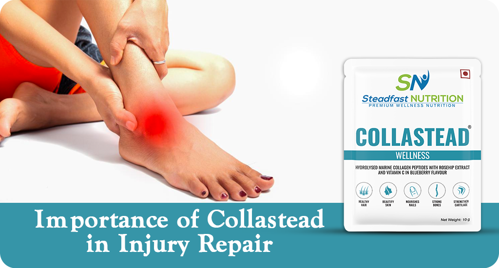 IMPORTANCE OF COLLASTEAD IN INJURY REPAIR