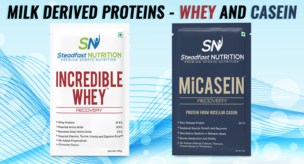 HOW TO CHOOSE A PROTEIN POWDER?