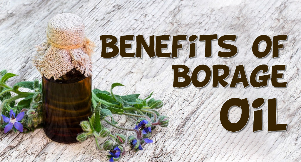 BORAGE OIL AND ITS USES