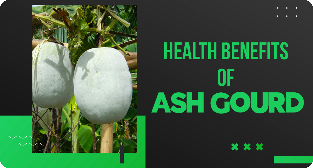 6 HEALTH BENEFITS OF ASH GOURD