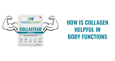 HOW IS COLLAGEN HELPFUL IN BODY FUNCTIONS