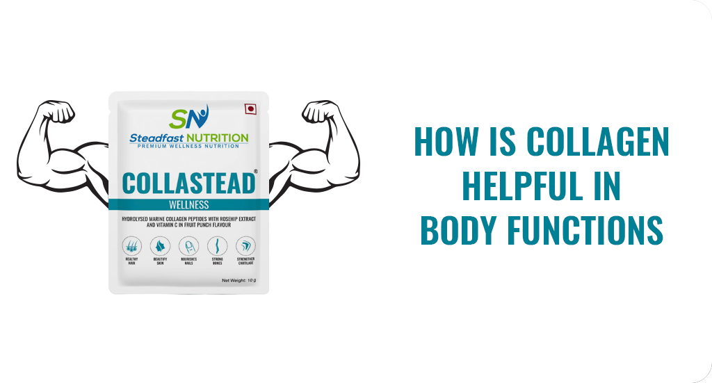 HOW IS COLLAGEN HELPFUL IN BODY FUNCTIONS