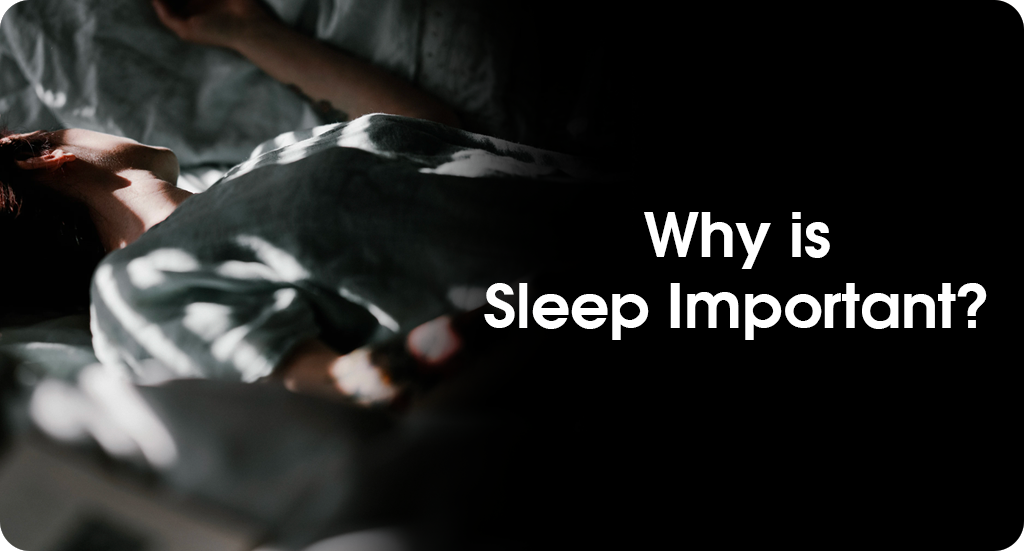 WHY IS SLEEP IMPORTANT?