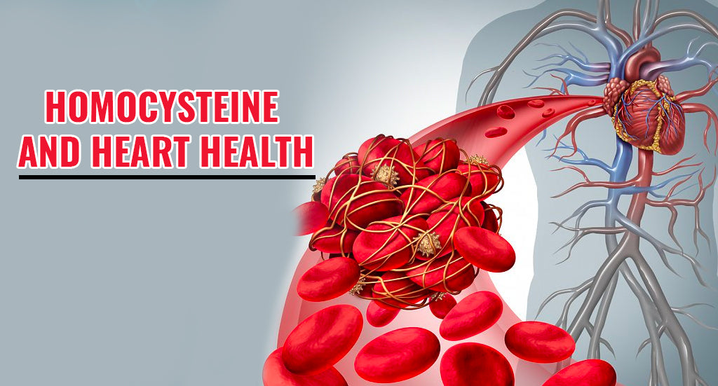 HOMOCYSTEINE AND HEART HEALTH