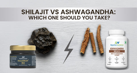Shilajit vs Ashwagandha: Which One Should You Take?