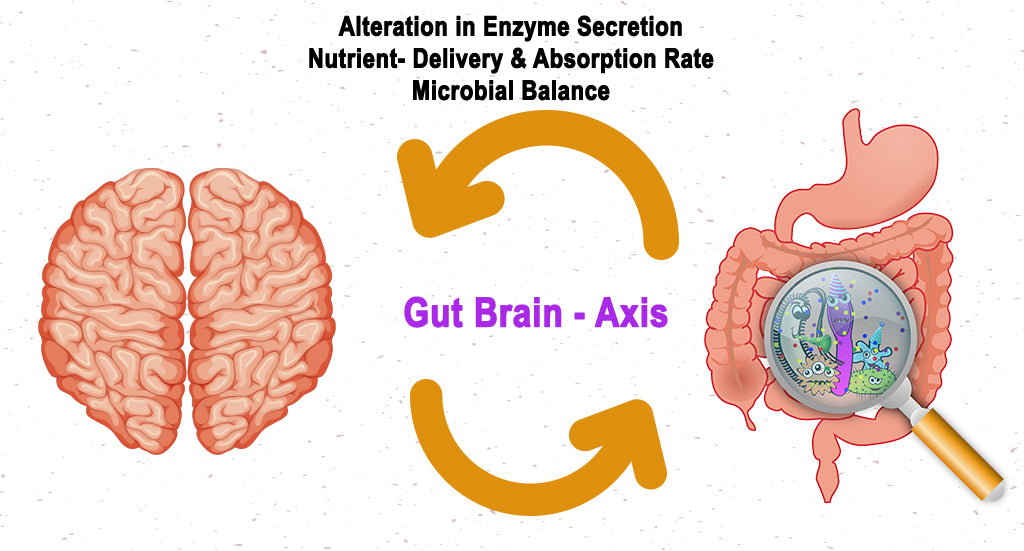 STRESS AND ITS EFFECT ON THE GASTROINTESTINAL (GI) TRACT