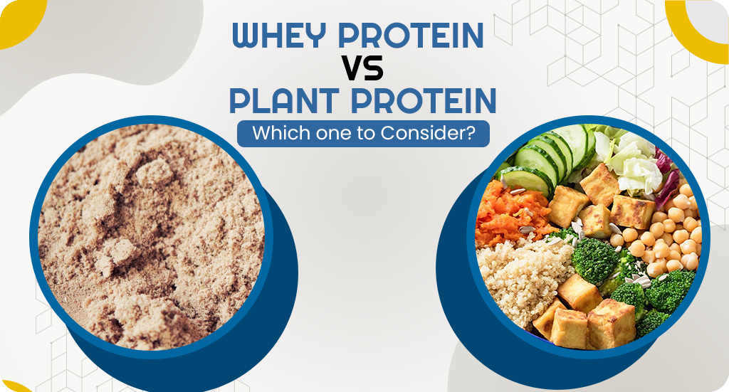 DIFFERENCE BETWEEN WHEY PROTEIN AND PLANT PROTEIN