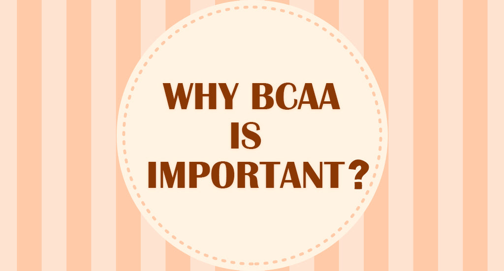 WHY BCAA IS IMPORTANT