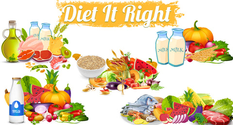 UNDERTSTANDING DIFFERENT DIETS