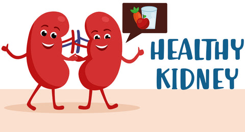 Kidney And Its Complications