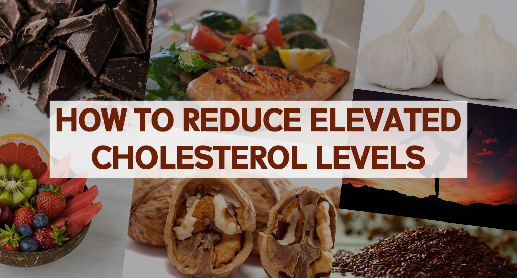 HOW TO REDUCE ELEVATED CHOLESTEROL LEVELS
