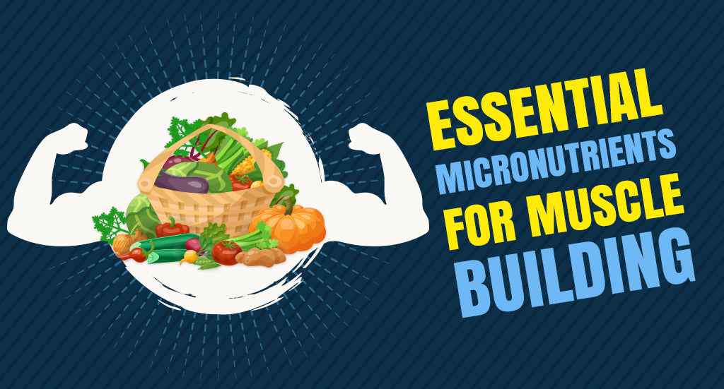 ESSENTIAL MICRONUTRIENTS FOR MUSCLE BUILDING