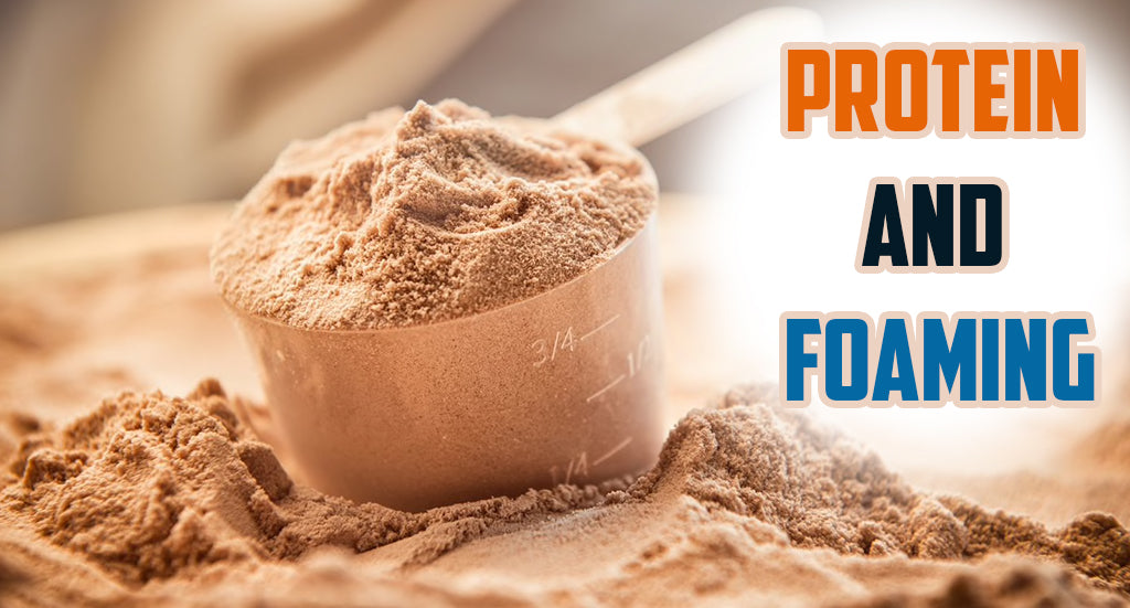 Foam (Froth) and Proteins