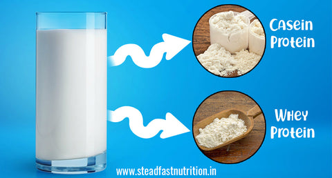 Extraction of Protein from Milk