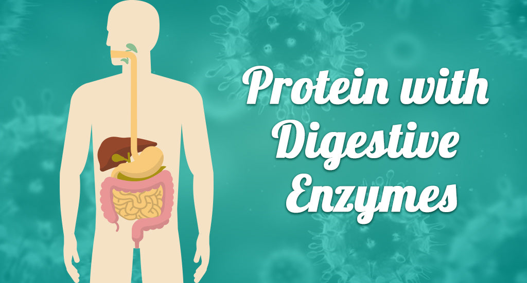 PROTEIN WITH DIGESTIVE ENZYMES