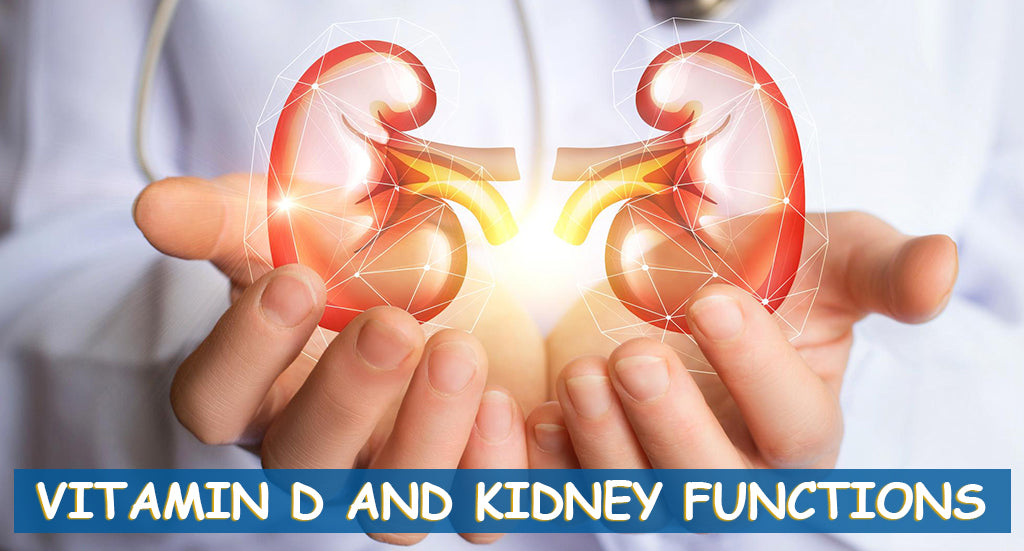VITAMIN D AND KIDNEY FUNCTIONS Steadfast Nutrition