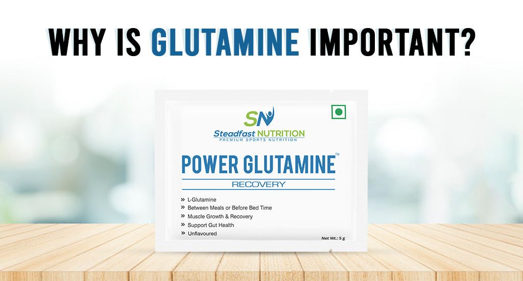 WHY IS GLUTAMINE IMPORTANT?