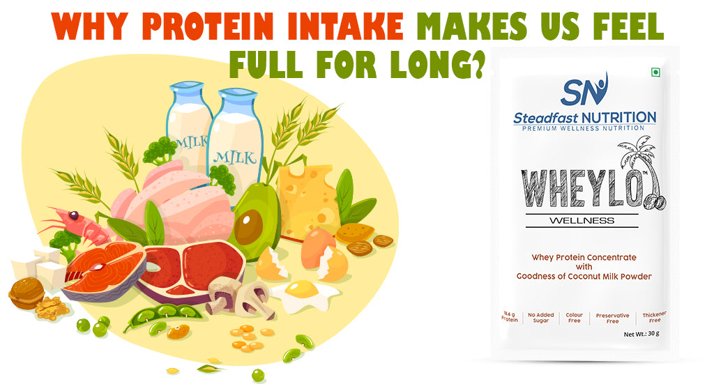 WHY PROTEIN INTAKE MAKES US FEEL FULL FOR LONG?