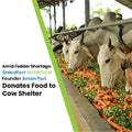 Amid Fodder Shortage, Steadfast Nutrition Founder Aman Puri Donates Food to Cow Shelter