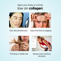 Collagen