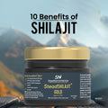 10 Benefits of Shilajit