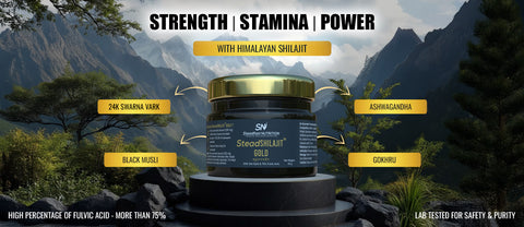 SteadShilajit Gold