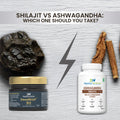 Shilajit VS Ashwagandha: Which one should you take?