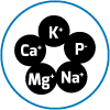Icon 3