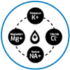 Icon 1