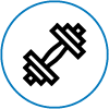 Icon 6