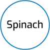Icon 1