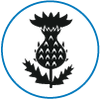 Icon 5