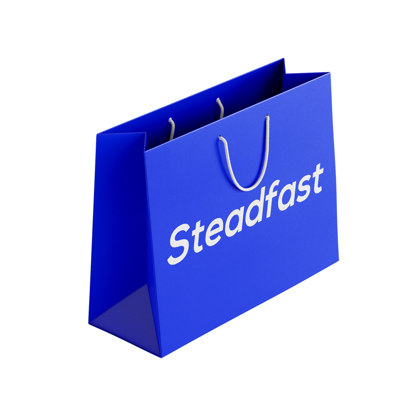 Steadfast Blue Carry Bag