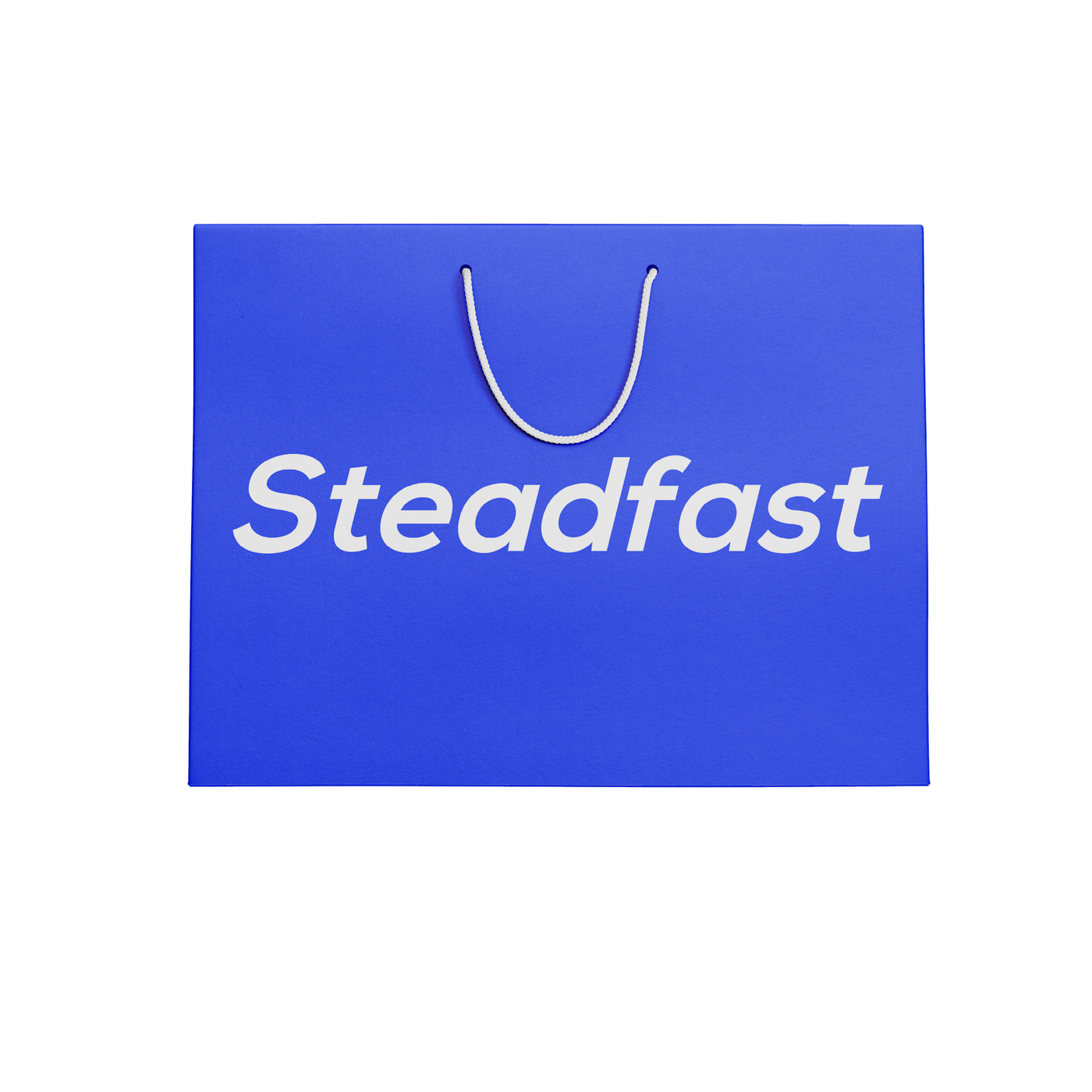 Steadfast Blue Carry Bag