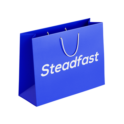 Steadfast Blue Carry Bag